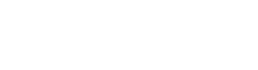 Live Commerce Group